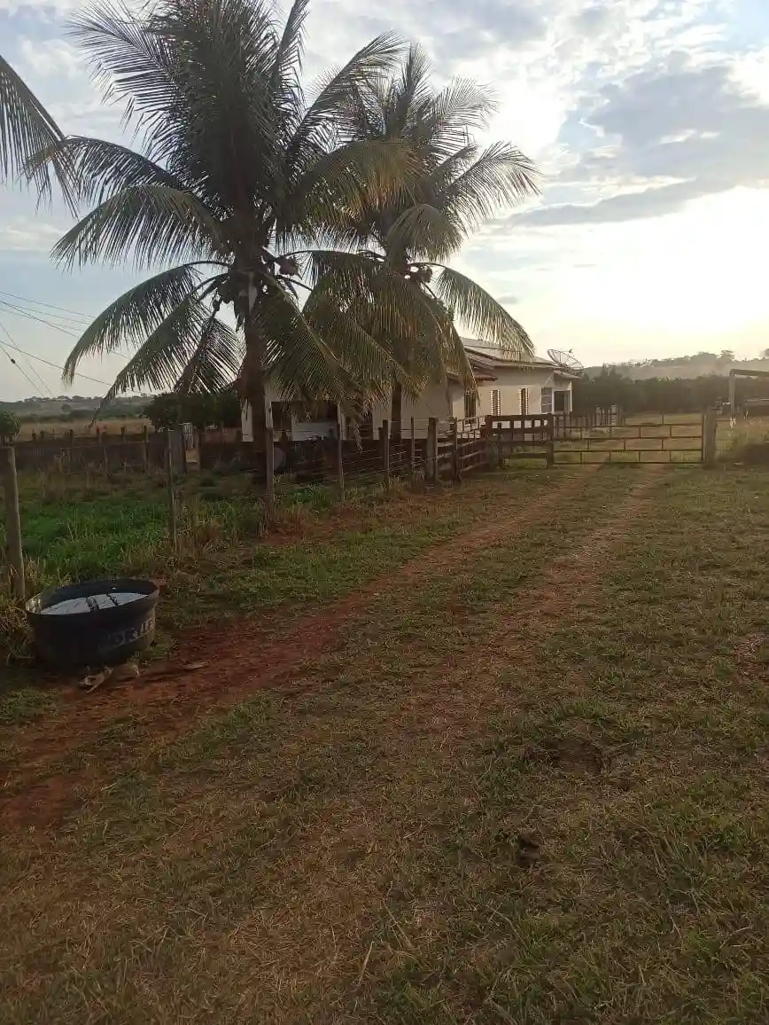 Fazenda / Sítio / Chácara  à venda, 144m² — foto 8 de 15
