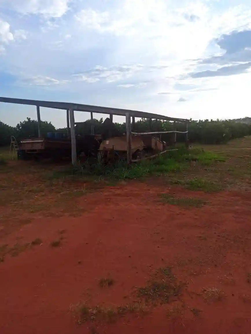 Fazenda / Sítio / Chácara  à venda, 144m² — foto 7 de 15