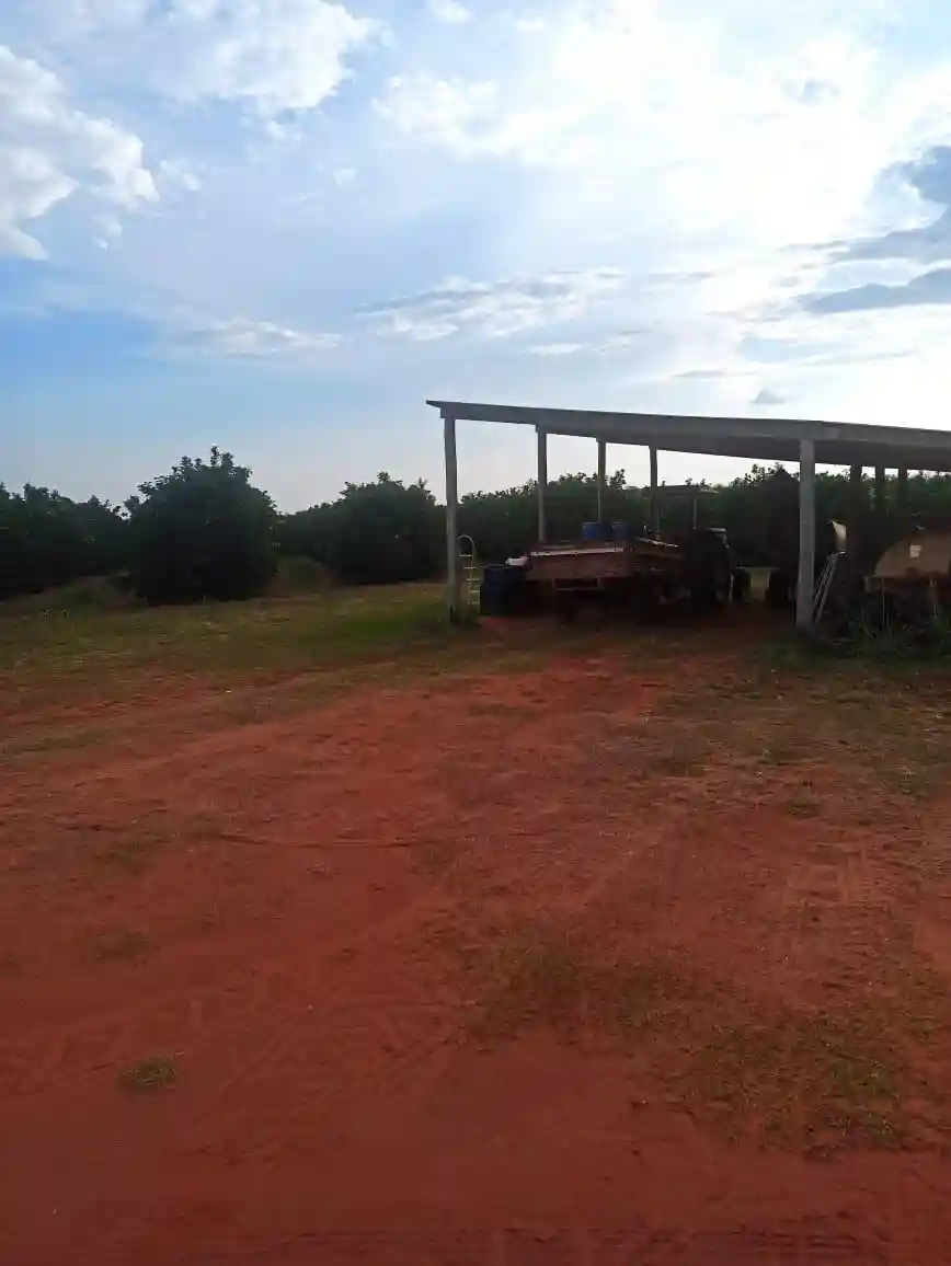 Fazenda / Sítio / Chácara  à venda, 144m² — foto 6 de 15