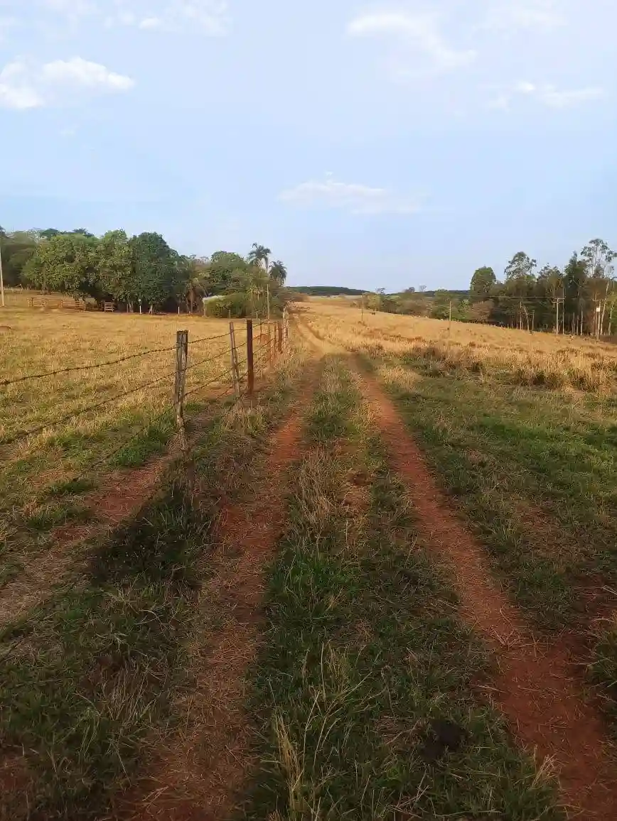 Fazenda / Sítio / Chácara  à venda, 144m² — foto 12 de 15