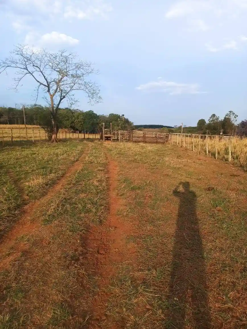Fazenda / Sítio / Chácara  à venda, 144m² — foto 9 de 15