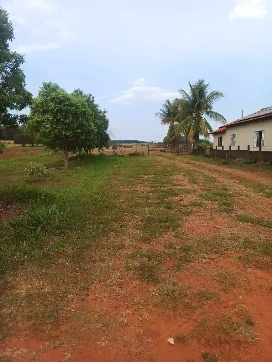 Fazenda / Sítio / Chácara  à venda, 144m² — foto 5 de 15