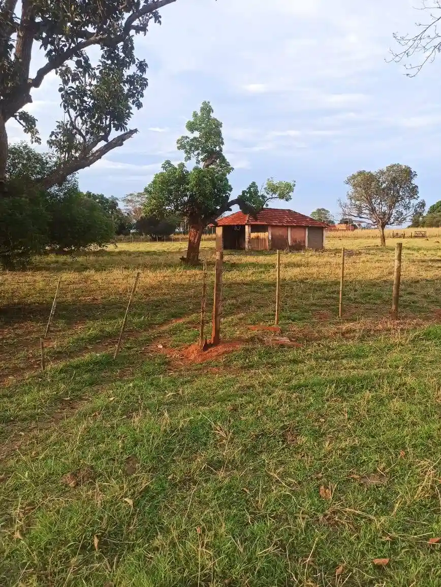Fazenda / Sítio / Chácara  à venda, 144m² — foto 2 de 15