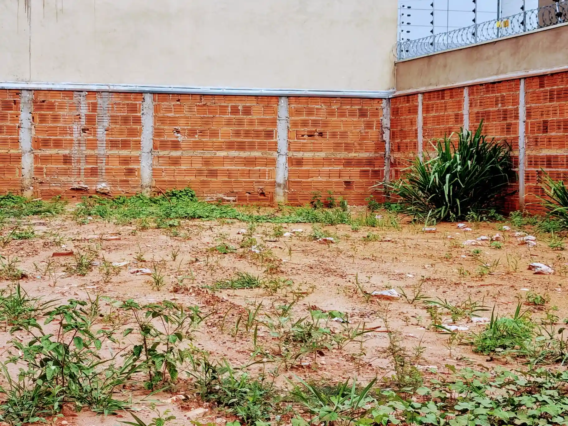 Terreno / Lote / Condomínio  à venda, 215m² — foto 6 de 6