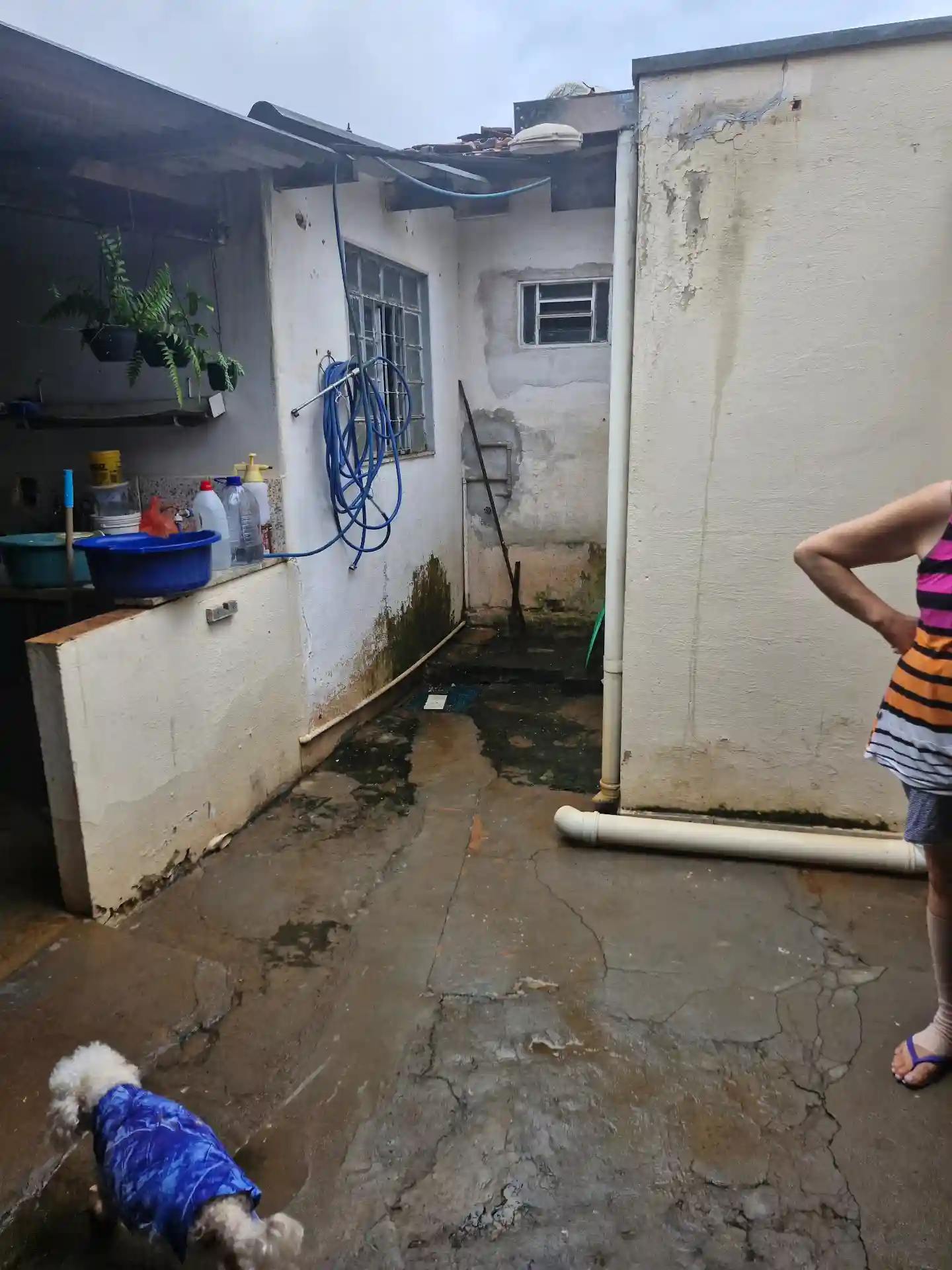 Casa com 4 quartos à venda, 260m² — foto 17 de 19