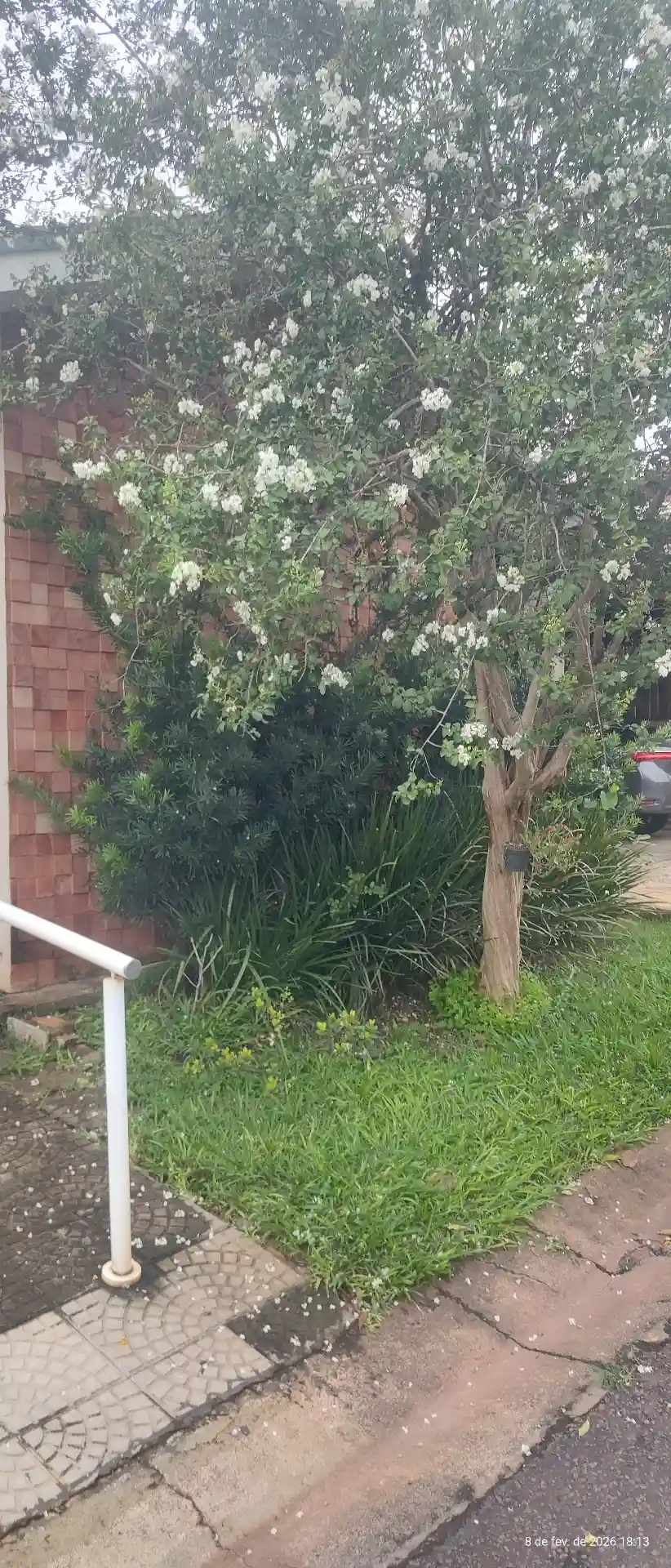 Casa de Condomínio com 3 quartos à venda, 150m² — foto 5 de 30