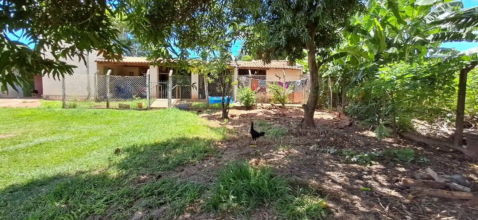 Fazenda / Sítio / Chácara com 3 quartos à venda, 1200m² — foto 18 de 20
