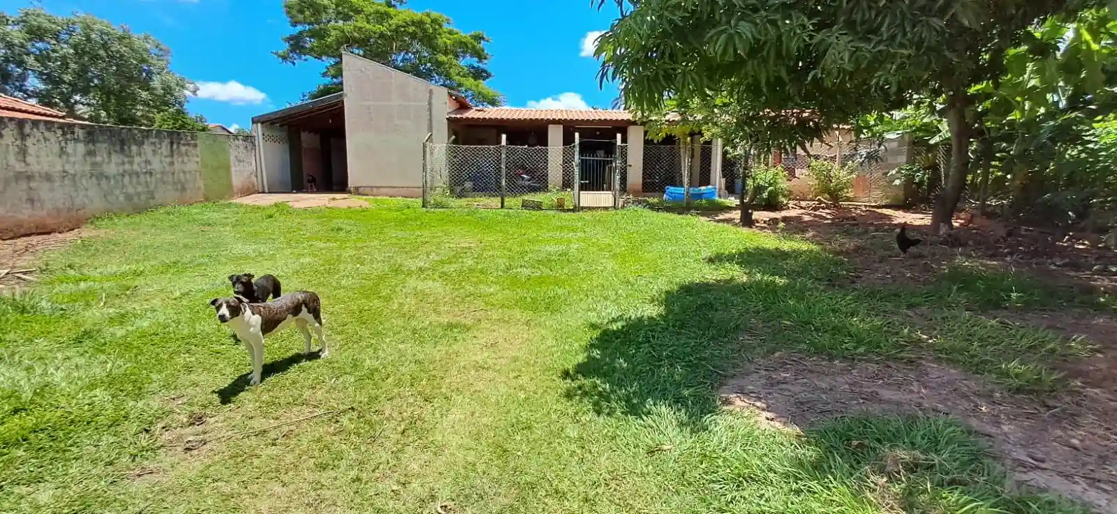 Fazenda / Sítio / Chácara com 3 quartos à venda, 1200m² — foto 20 de 20