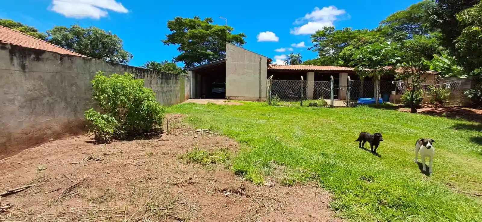 Fazenda / Sítio / Chácara com 3 quartos à venda, 1200m² — foto 19 de 20