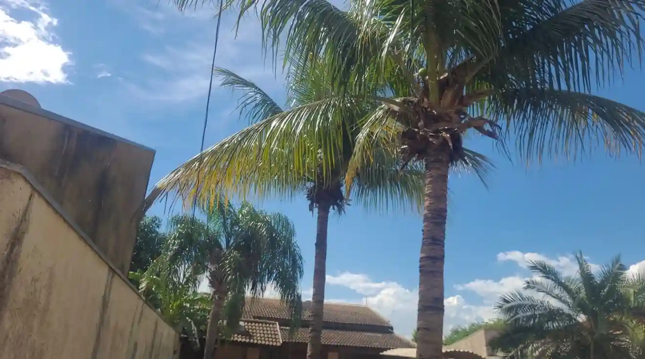 Casa com 1 quarto à venda, 363m² — foto 8 de 8