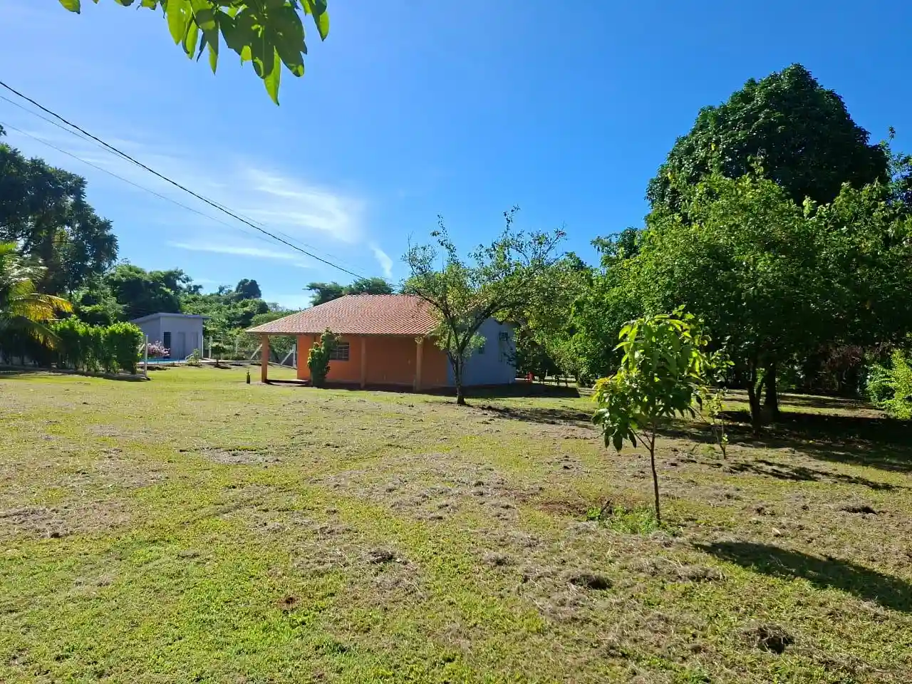 Fazenda / Sítio / Chácara com 2 quartos para aluguel, 5000m² — foto 3 de 16
