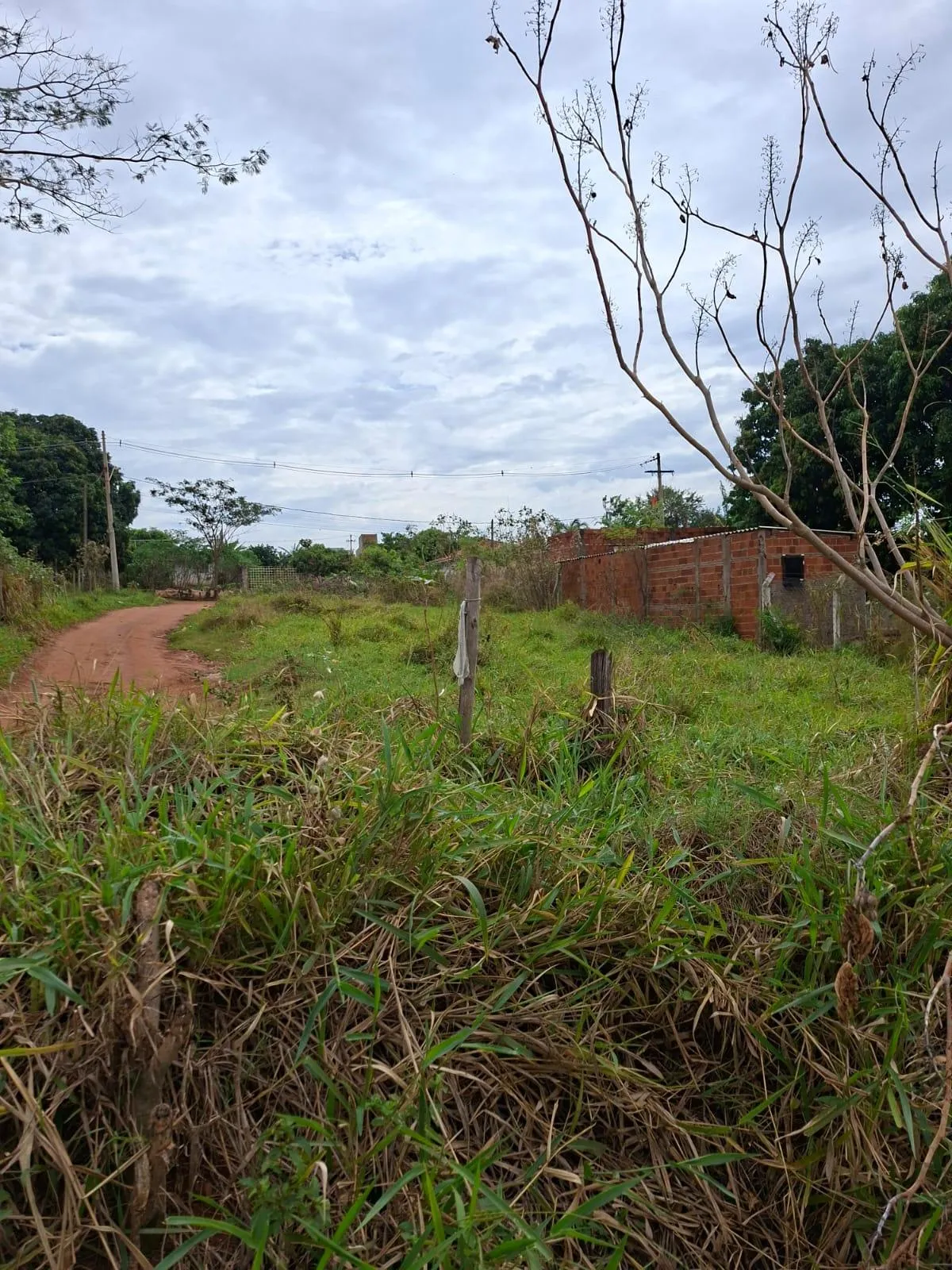 Fazenda / Sítio / Chácara à venda, 800m² — foto 5 de 5