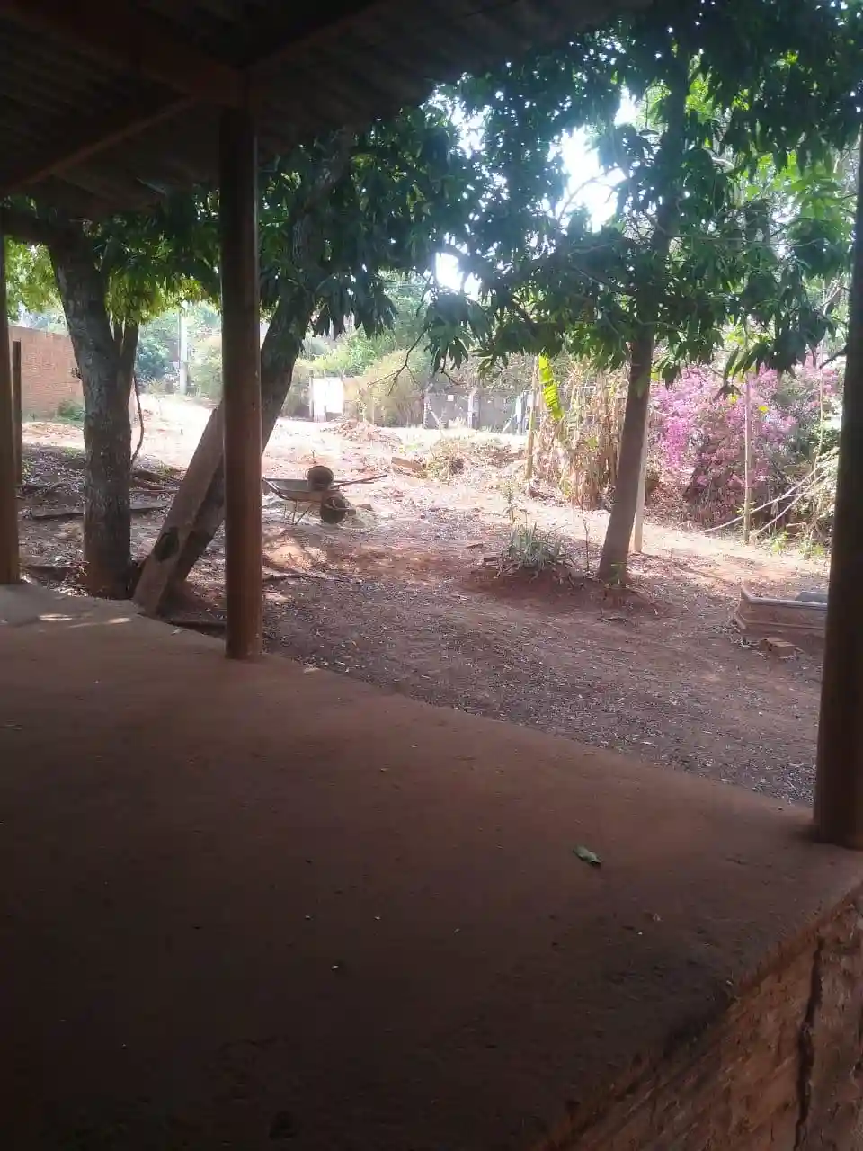Fazenda / Sítio / Chácara com 1 quarto à venda, 1000m² — foto 11 de 11