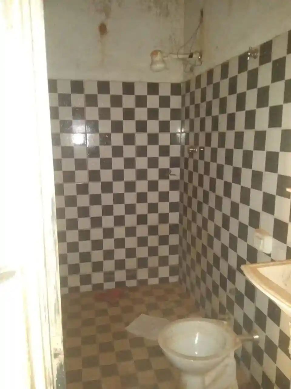Fazenda / Sítio / Chácara com 1 quarto à venda, 1000m² — foto 6 de 11