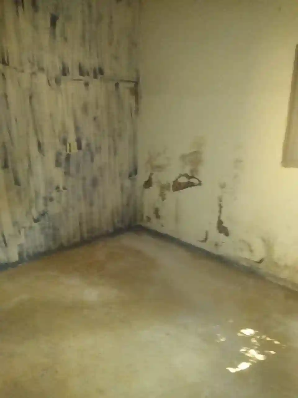 Fazenda / Sítio / Chácara com 1 quarto à venda, 1000m² — foto 7 de 11
