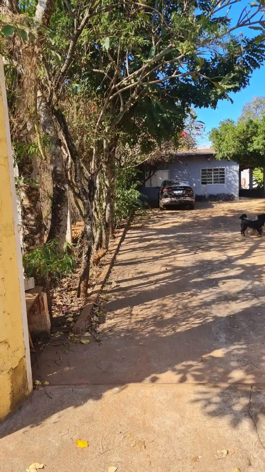 Fazenda / Sítio / Chácara com 3 quartos à venda, 1100m² — foto 5 de 21