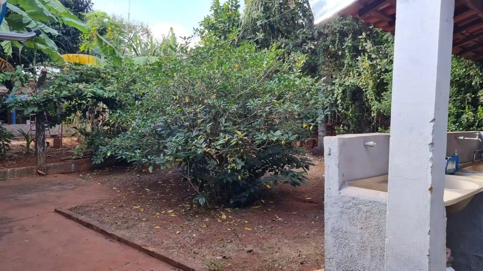 Fazenda / Sítio / Chácara com 3 quartos à venda, 1100m² — foto 18 de 21