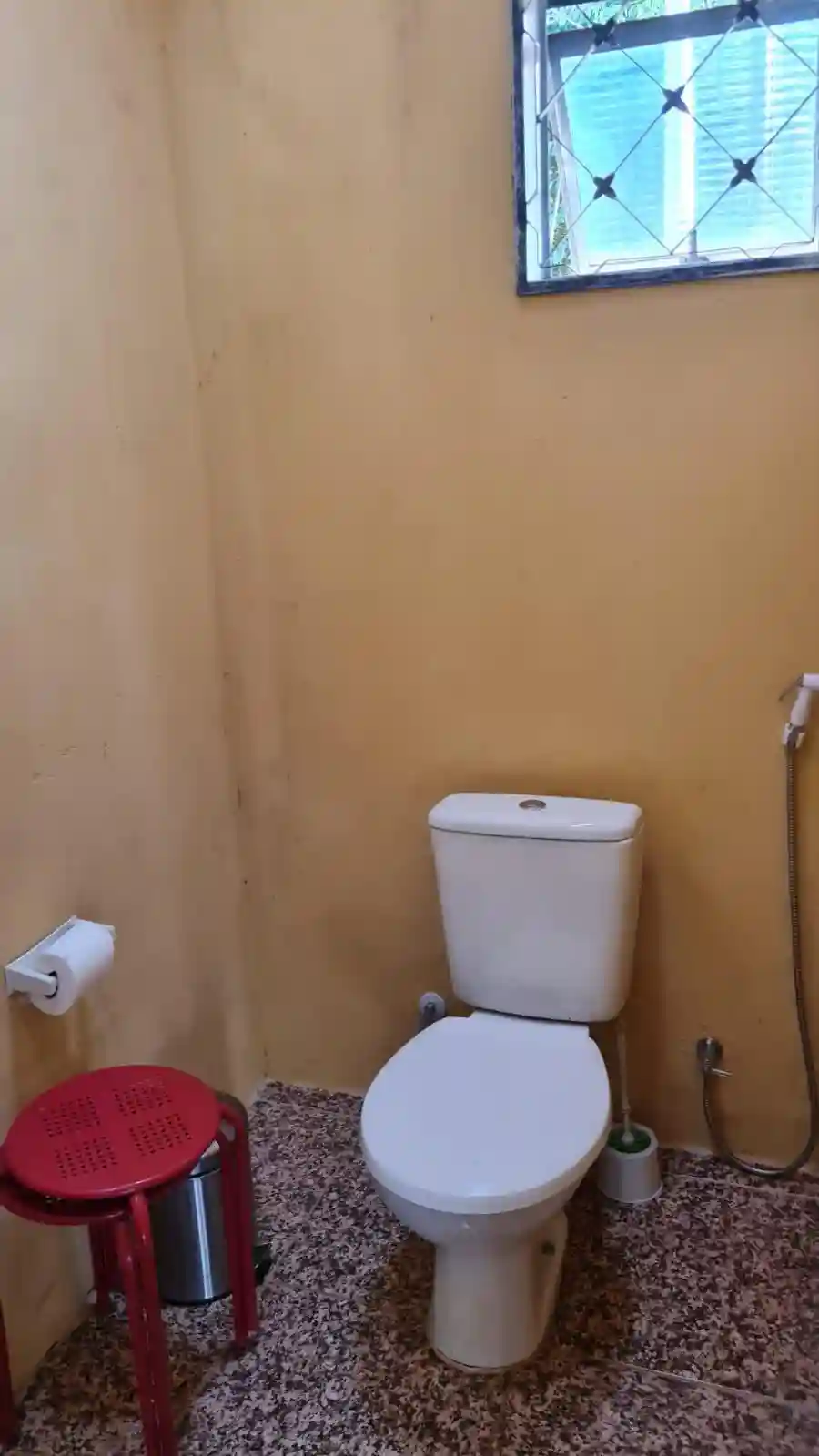 Fazenda / Sítio / Chácara com 3 quartos à venda, 1100m² — foto 13 de 21