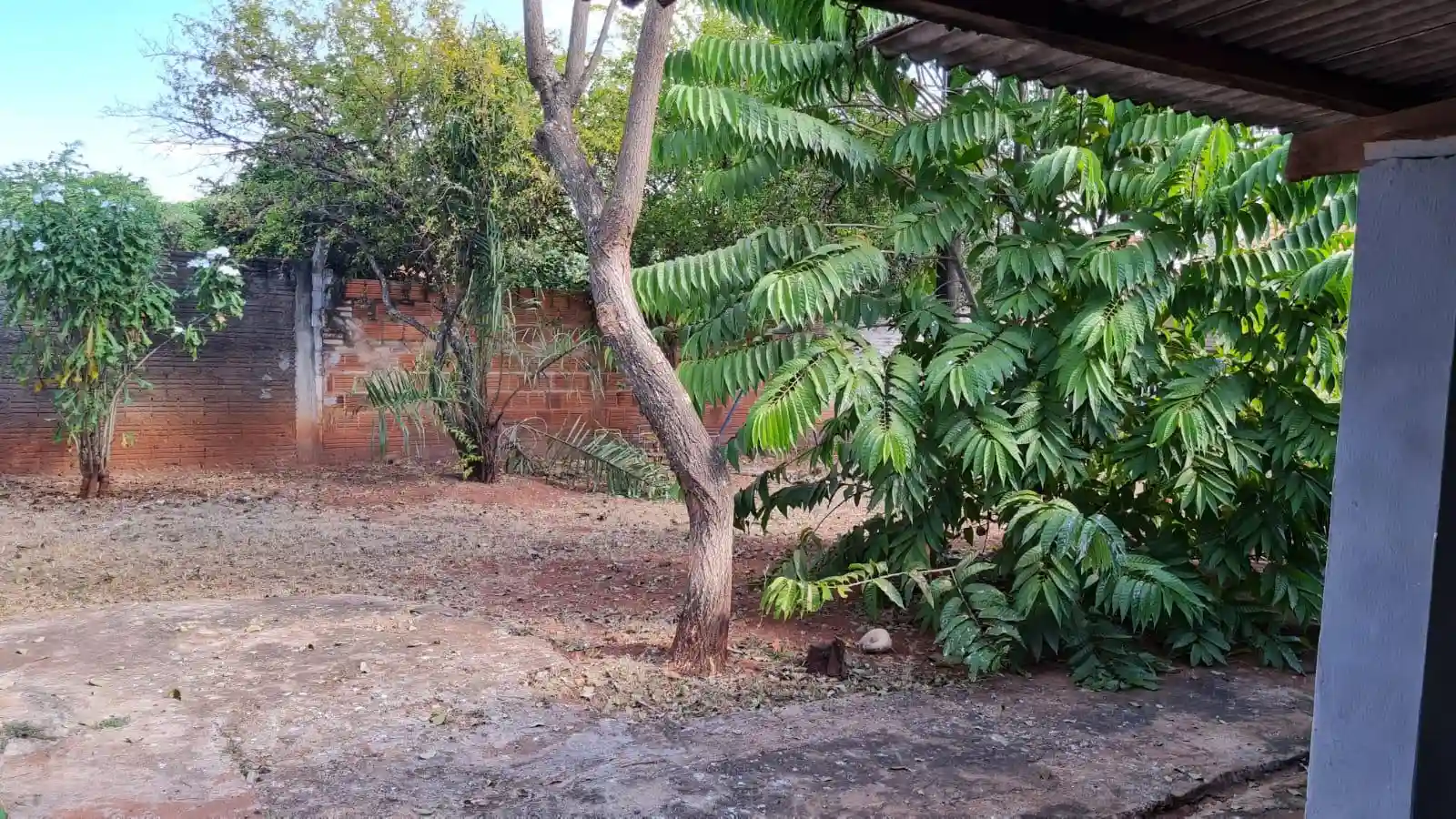 Fazenda / Sítio / Chácara com 3 quartos à venda, 1100m² — foto 19 de 21