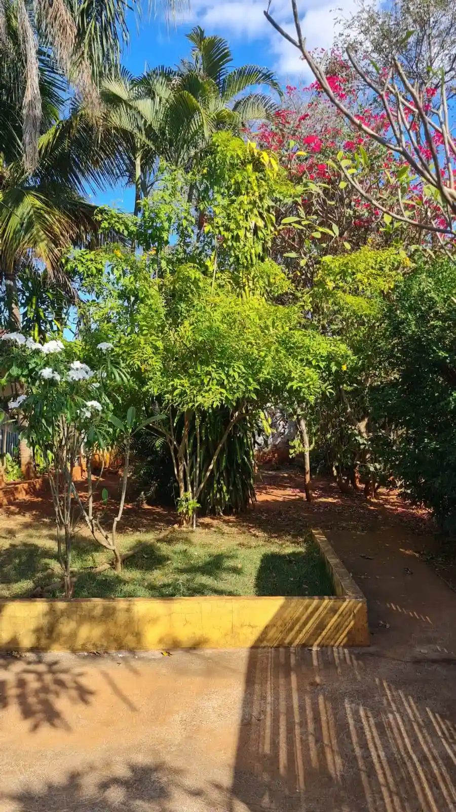 Fazenda / Sítio / Chácara com 3 quartos à venda, 1100m² — foto 6 de 21