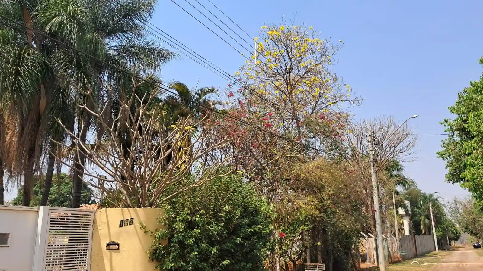Fazenda / Sítio / Chácara com 3 quartos à venda, 1100m² — foto 2 de 21