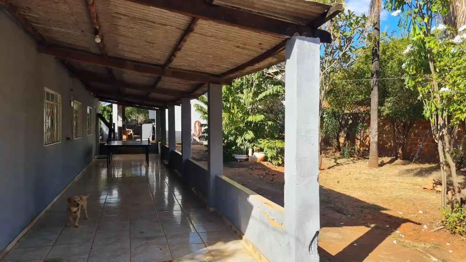 Fazenda / Sítio / Chácara com 3 quartos à venda, 1100m² — foto 14 de 21
