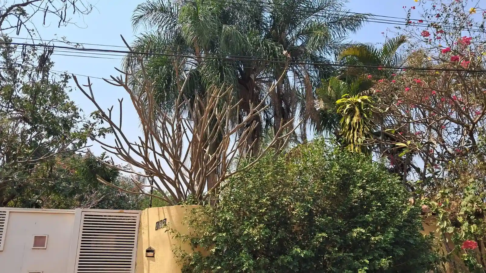 Fazenda / Sítio / Chácara com 3 quartos à venda, 1100m² — foto 3 de 21