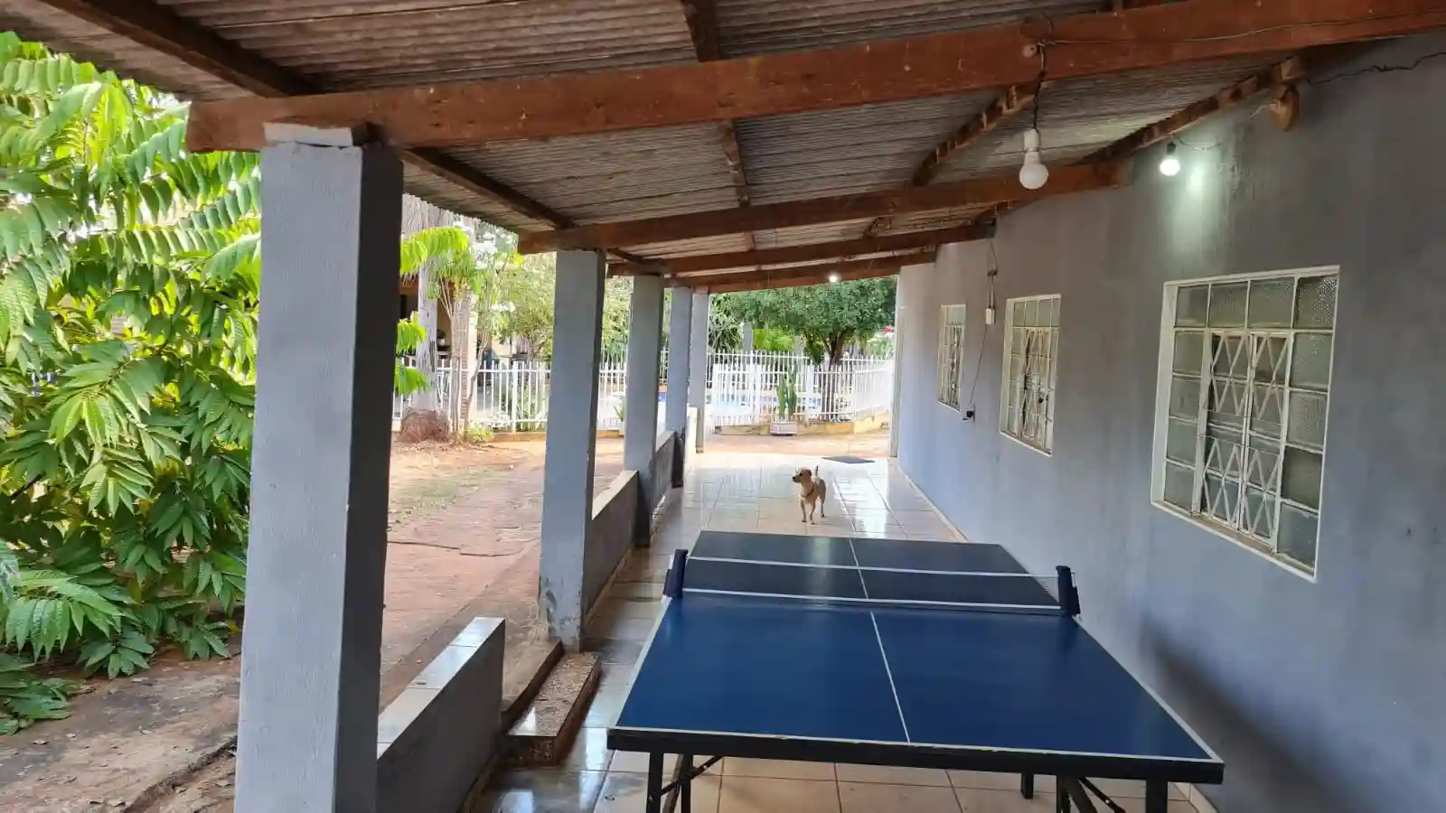 Fazenda / Sítio / Chácara com 3 quartos à venda, 1100m² — foto 20 de 21