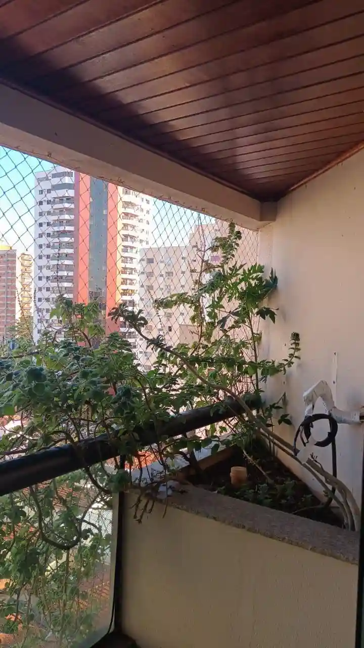 Apartamento com 3 quartos à venda, 194m² — foto 4 de 11