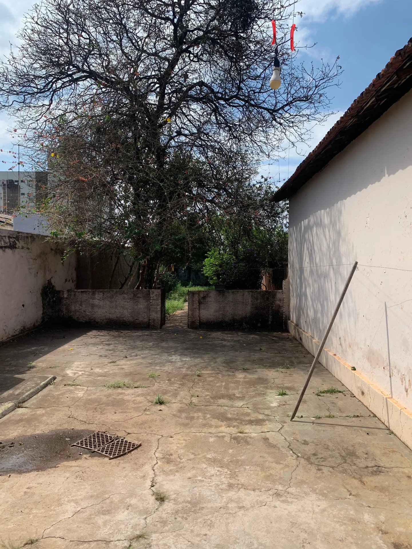 Imóvel Comercial à venda, 721m² — foto 5 de 6
