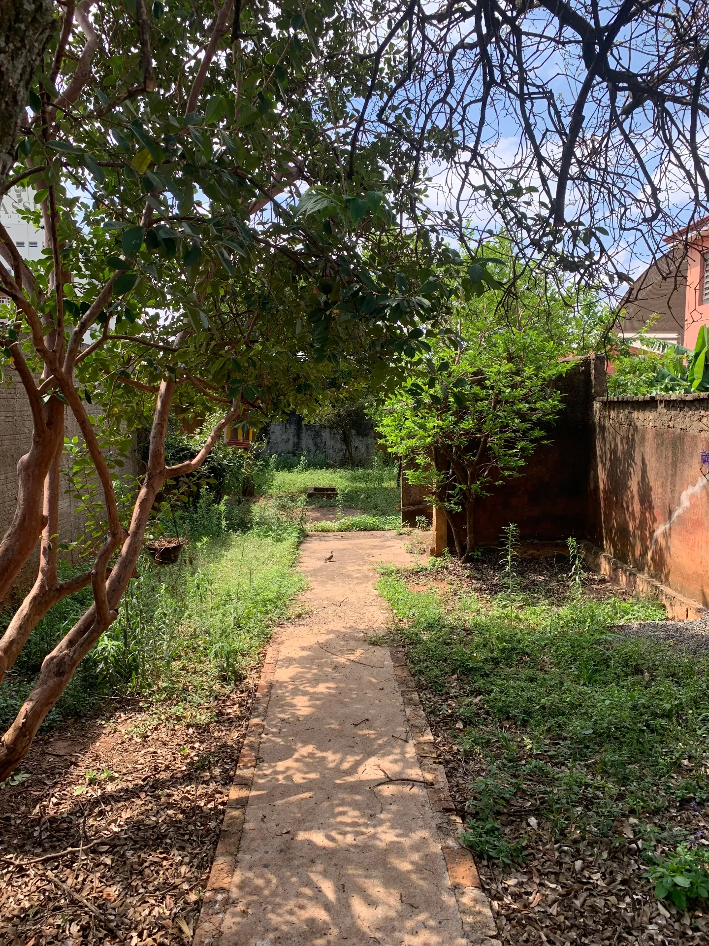 Imóvel Comercial à venda, 721m² — foto 6 de 6