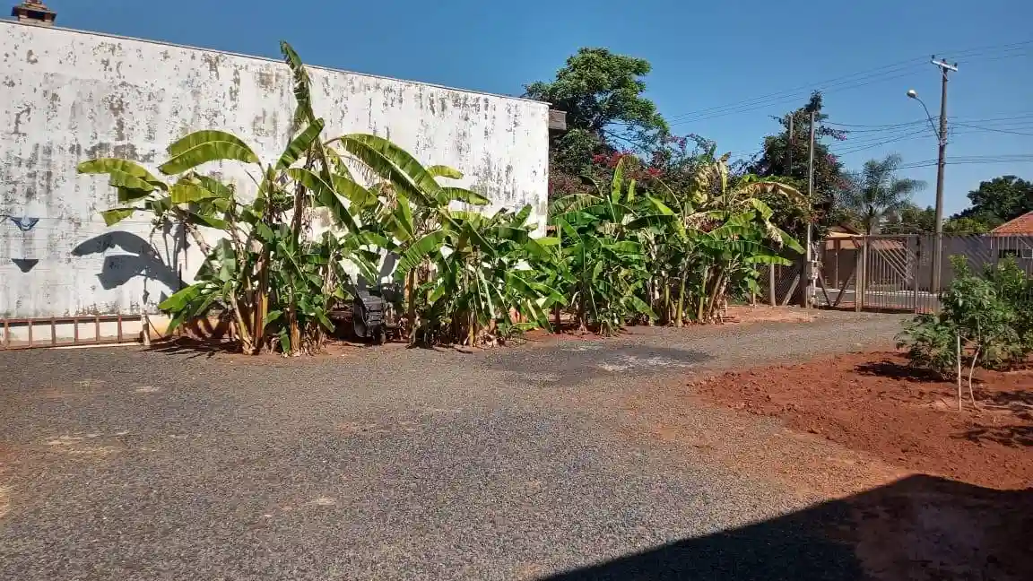 Fazenda / Sítio / Chácara com 1 quarto à venda, 110m² — foto 5 de 12