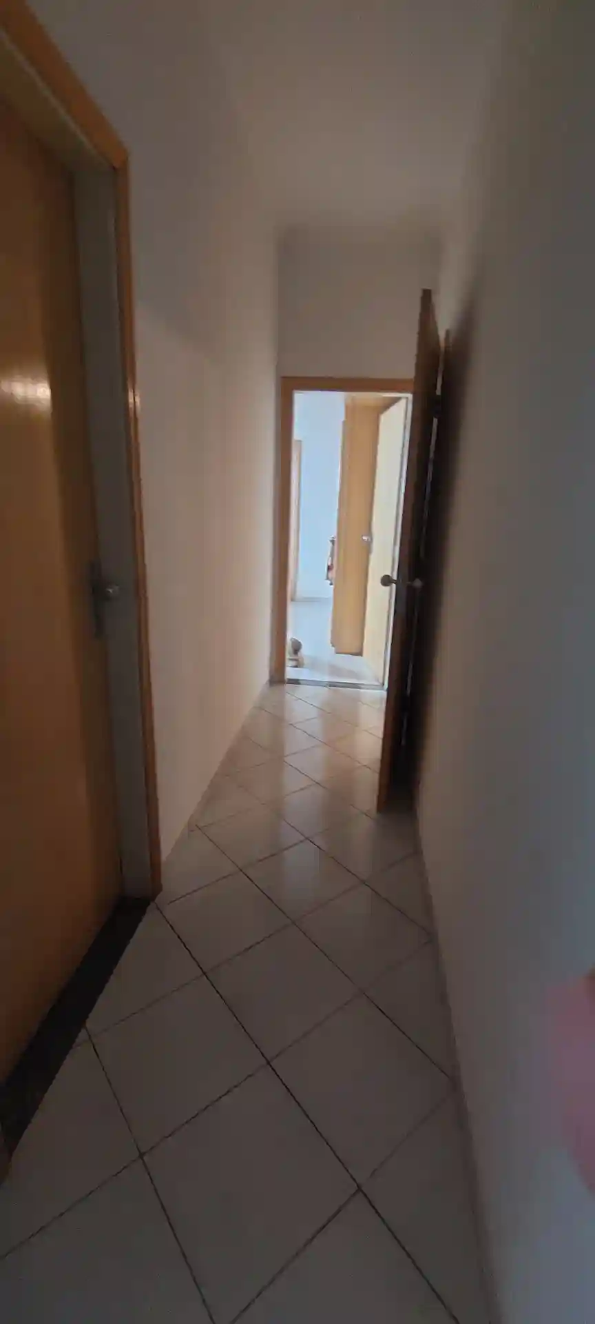 Casa Comercial com 3 quartos para aluguel, 250m² — foto 8 de 30