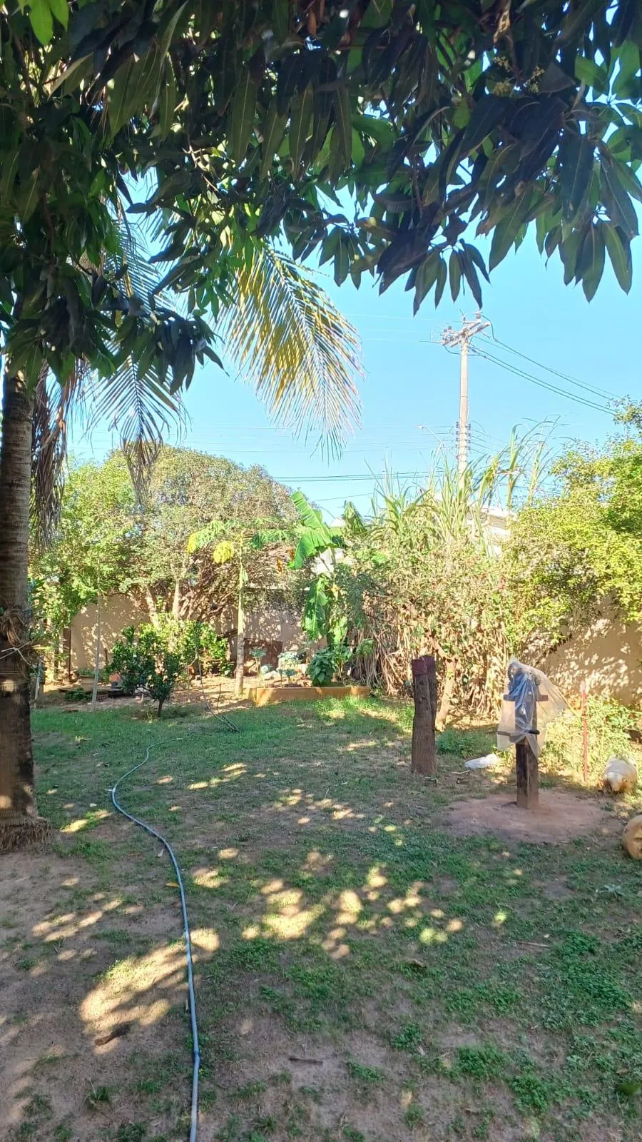 Casa com 4 quartos à venda, 900m² — foto 31 de 34