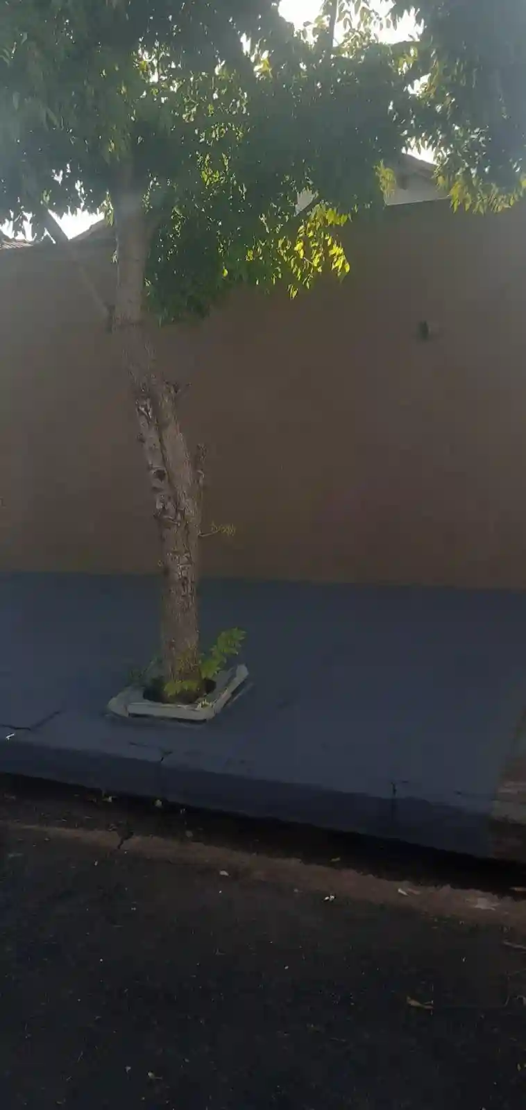 Casa com 2 quartos à venda, 110m² — foto 6 de 16