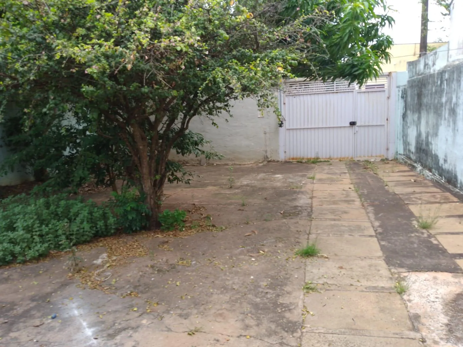 Casa com 3 quartos para aluguel, 40m² — foto 11 de 11