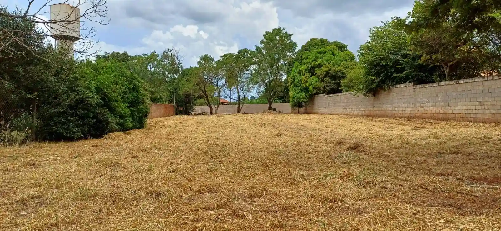 Fazenda / Sítio / Chácara  à venda, 1299m² — foto 4 de 4