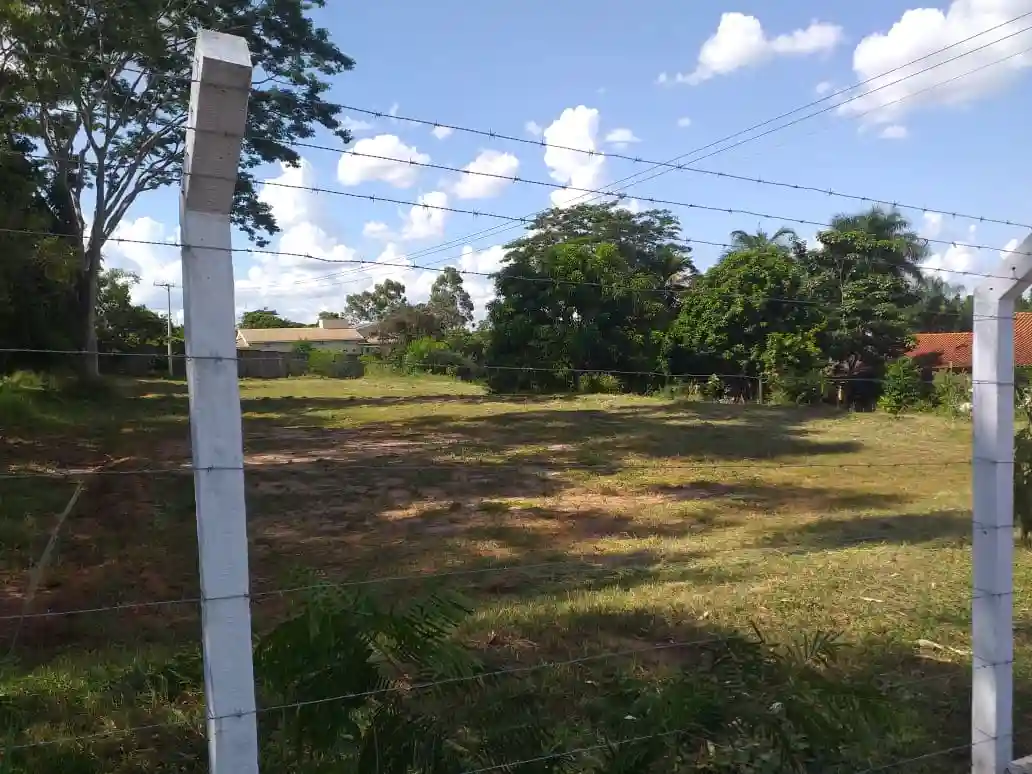 Fazenda / Sítio / Chácara com 4 quartos à venda, 6000m² — foto 8 de 10