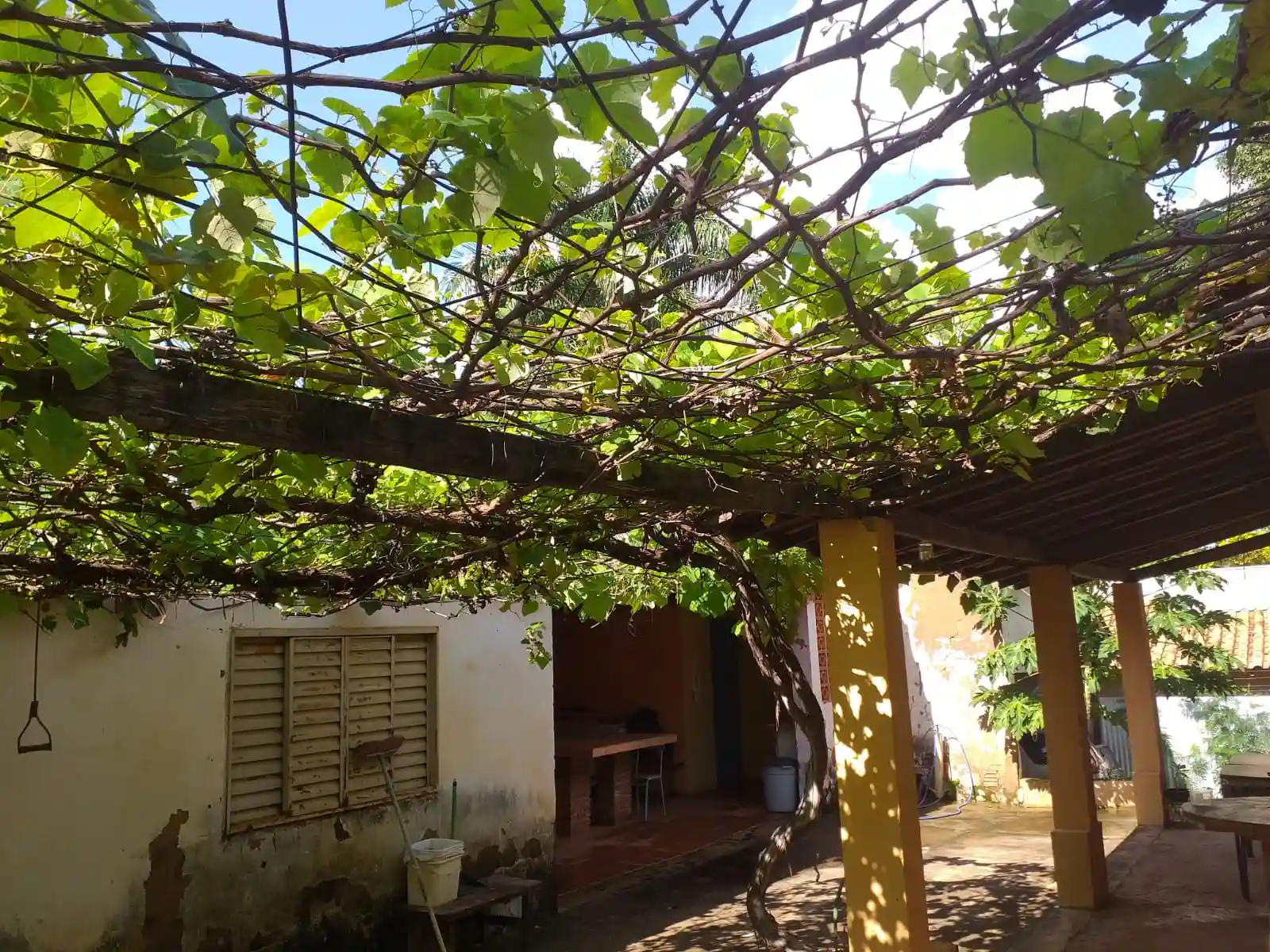 Fazenda / Sítio / Chácara com 4 quartos à venda, 6000m² — foto 6 de 10