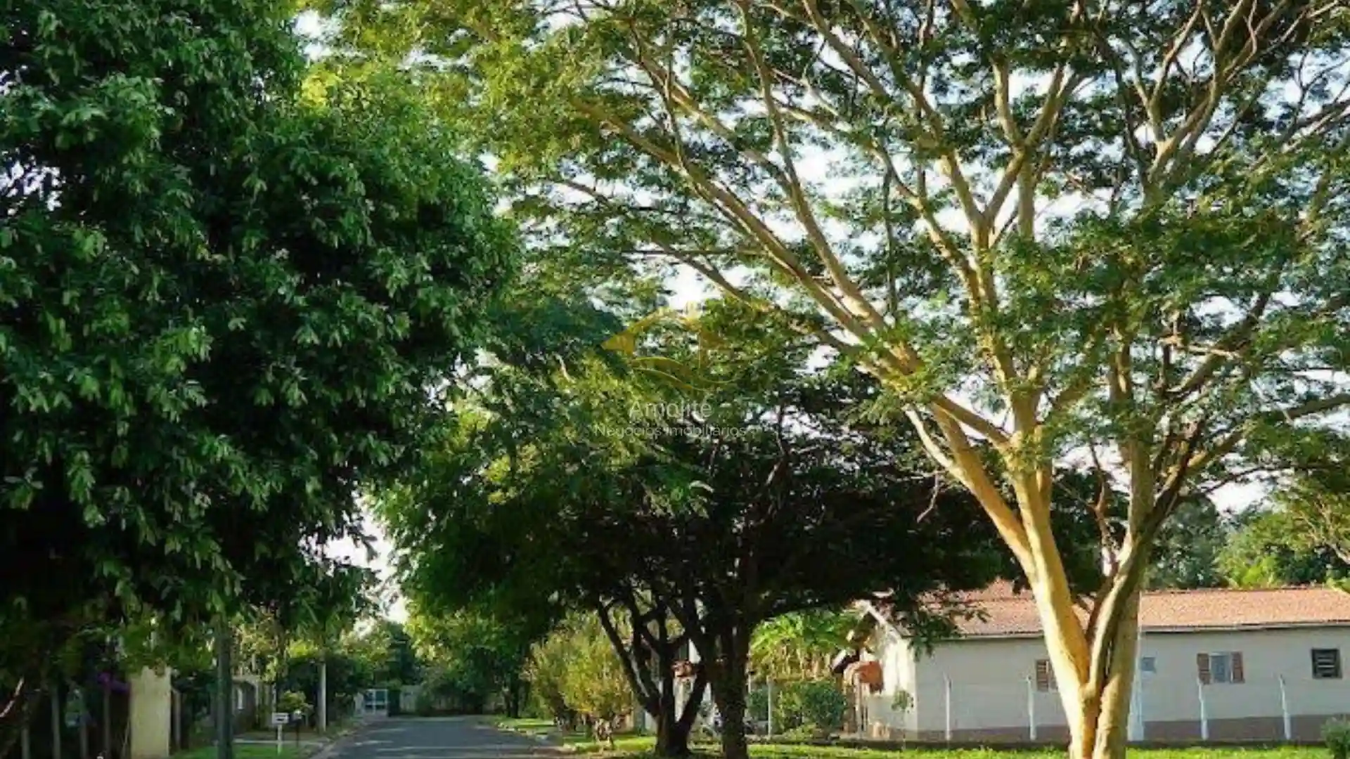 Fazenda / Sítio / Chácara com 3 quartos à venda, 2400m² — foto 13 de 22