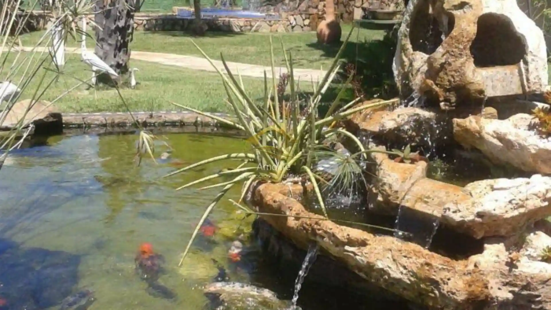 Fazenda / Sítio / Chácara com 3 quartos à venda, 2400m² — foto 2 de 22