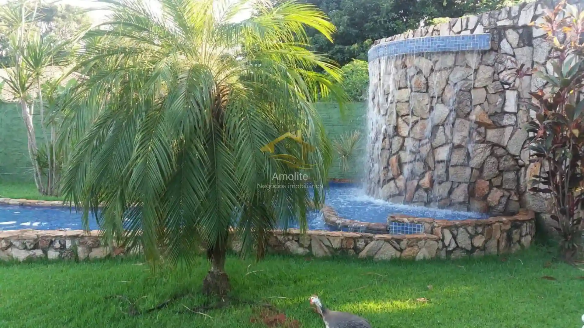 Fazenda / Sítio / Chácara com 3 quartos à venda, 2400m² — foto 7 de 22