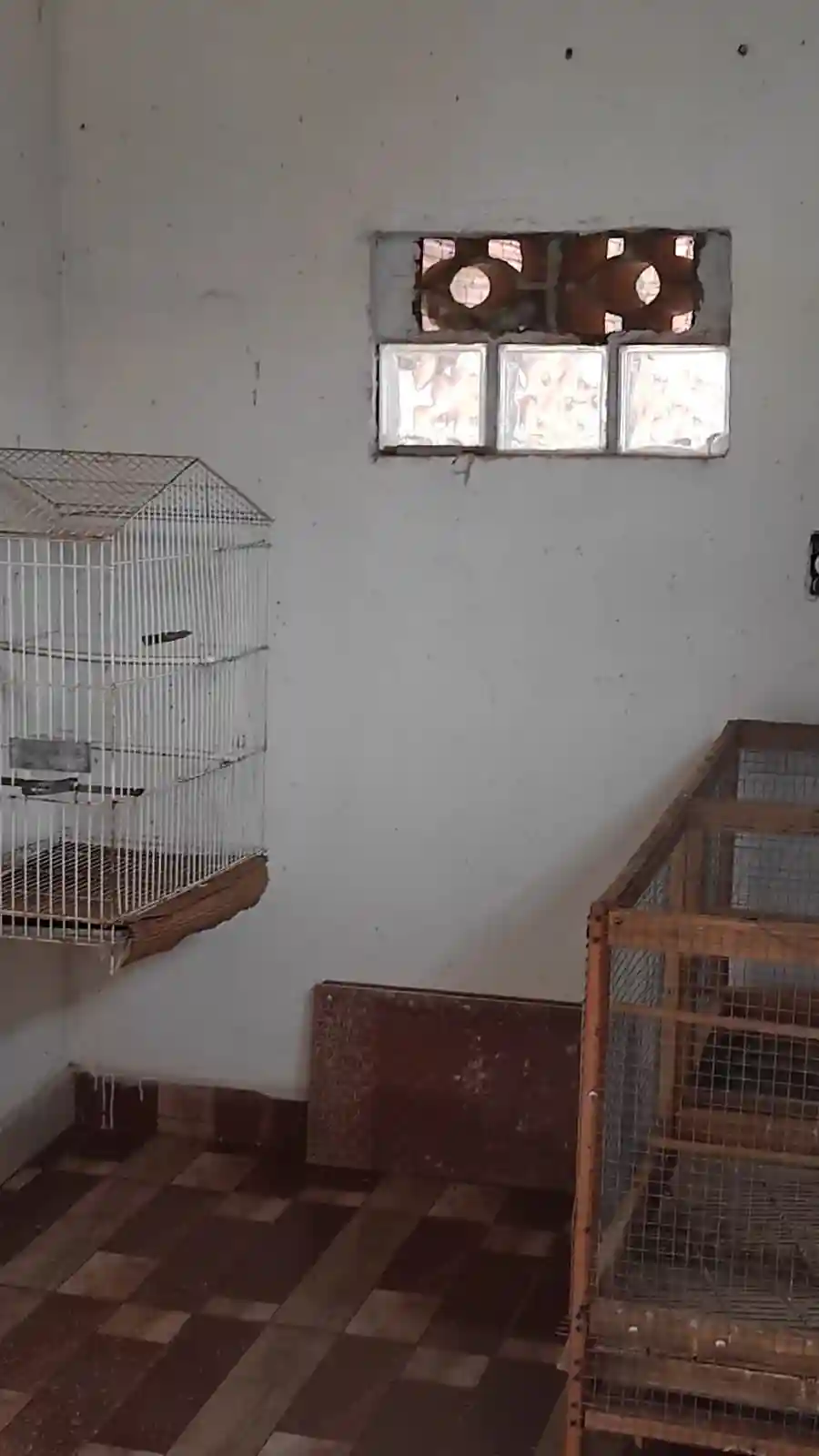 Casa com 2 quartos à venda, 120m² — foto 19 de 22