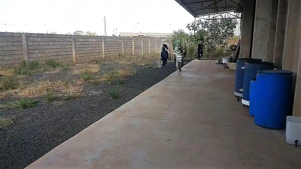 Galpão / Depósito / Armazém  para aluguel, 1000m² — foto 10 de 10