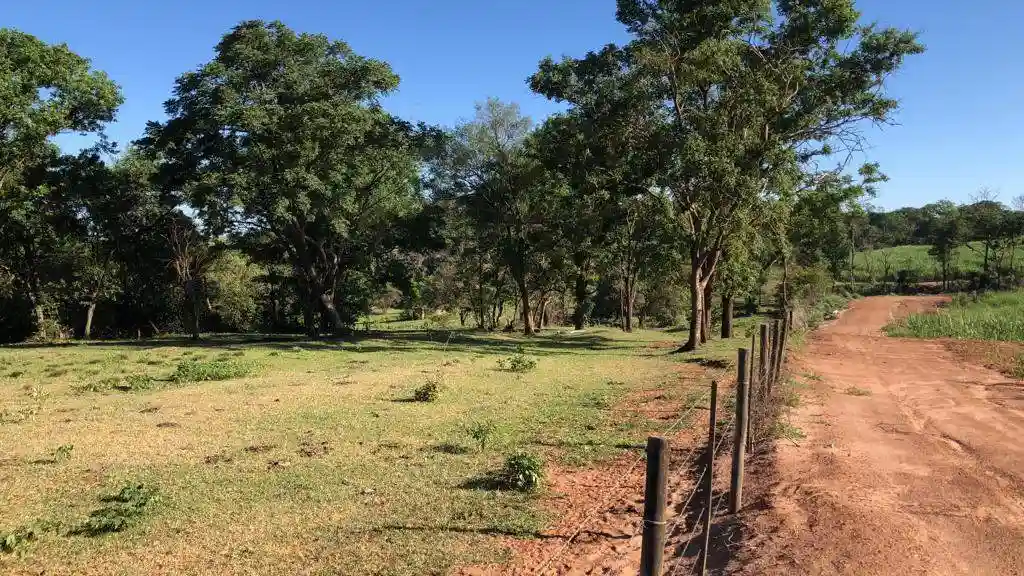 Fazenda / Sítio / Chácara  à venda, 556600m² — foto 6 de 23