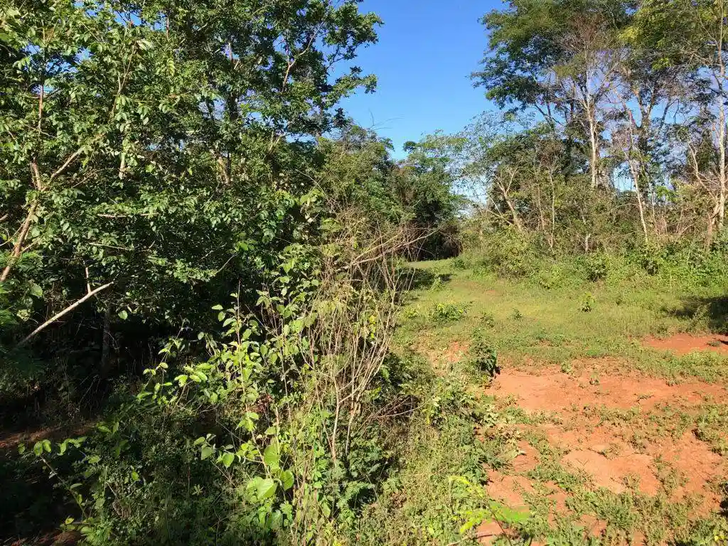 Fazenda / Sítio / Chácara  à venda, 556600m² — foto 3 de 23