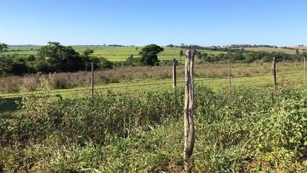 Fazenda / Sítio / Chácara  à venda, 556600m² — foto 13 de 23