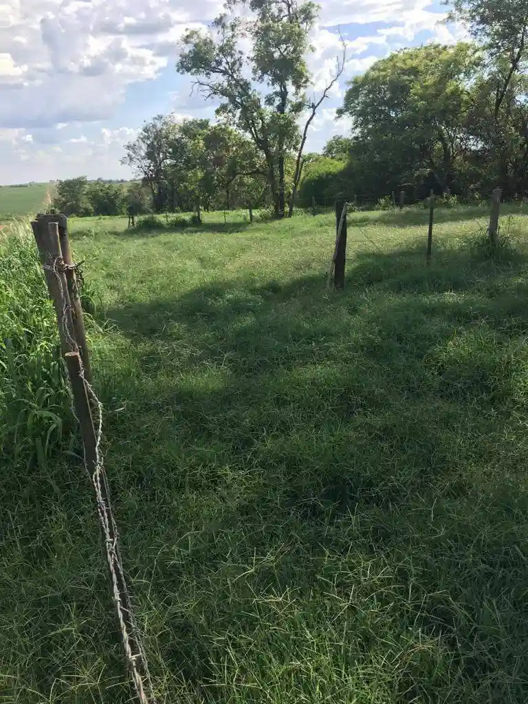 Fazenda / Sítio / Chácara  à venda, 556600m² — foto 20 de 23