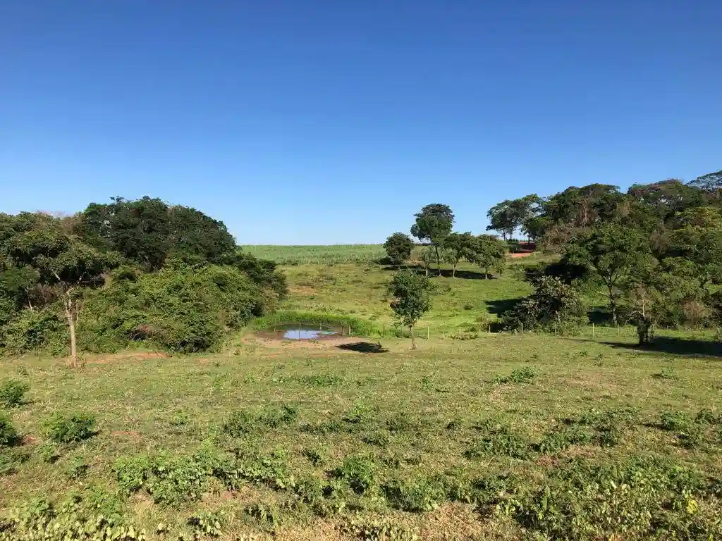 Fazenda / Sítio / Chácara  à venda, 556600m² — foto 8 de 23