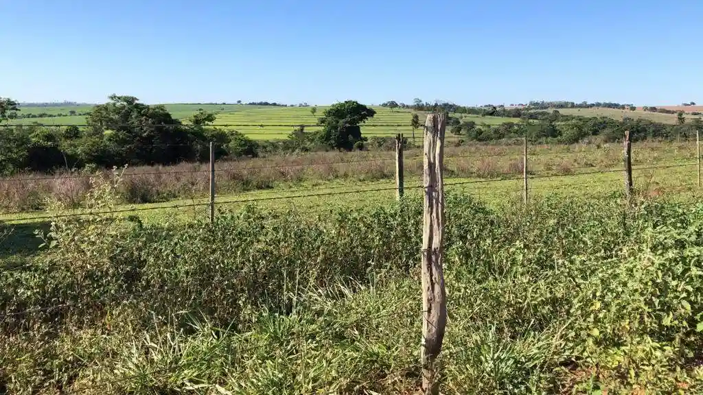 Fazenda / Sítio / Chácara  à venda, 556600m² — foto 19 de 23